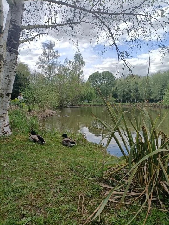 Au Saule Pleureur