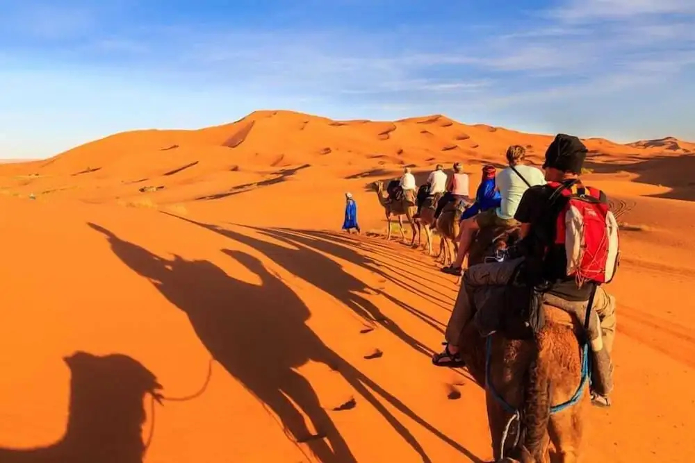 Fox Luxury Desert Camp