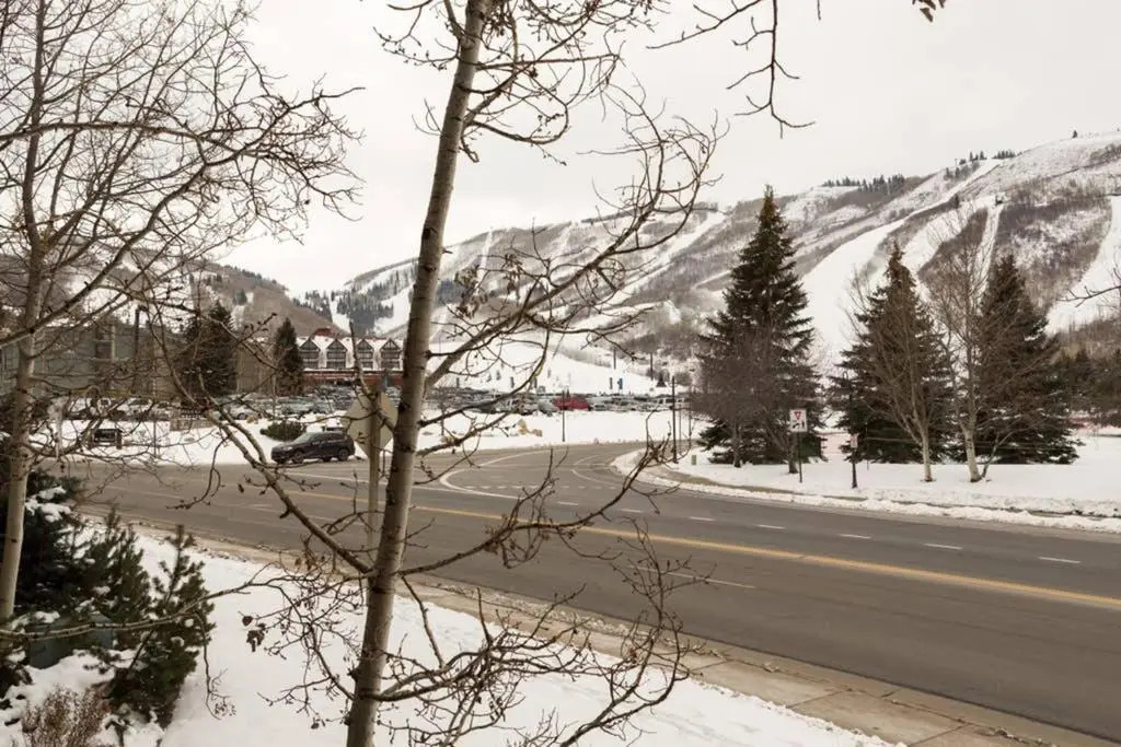 #213 1br Snowcrest Condo Walk 2 Lift