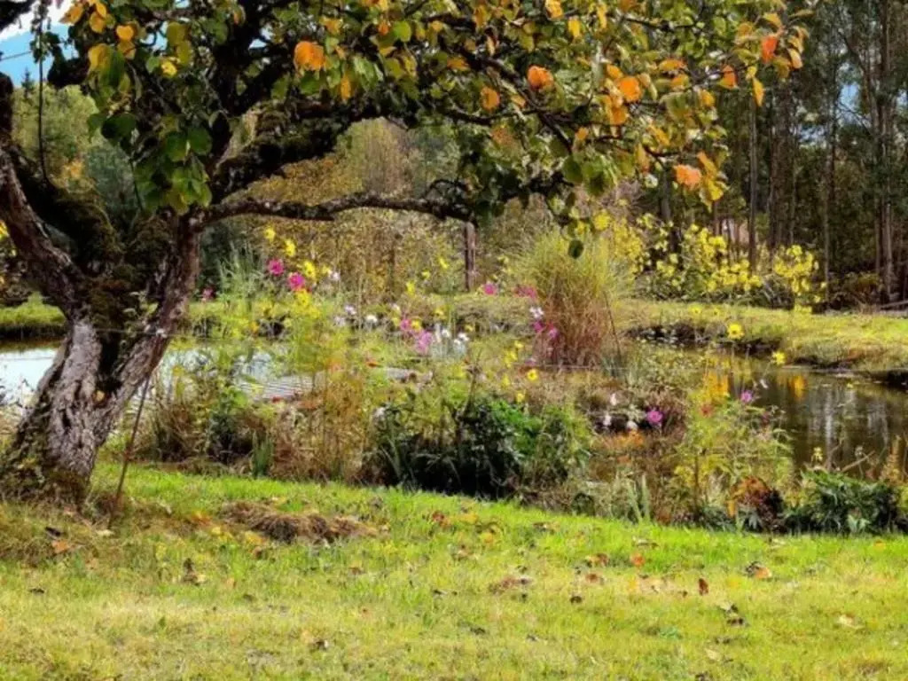 Gîte chaleureux en pleine nature avec terrasse, idéal pour randonnées et vététistes, proche de Gérardmer - FR-1-589-125