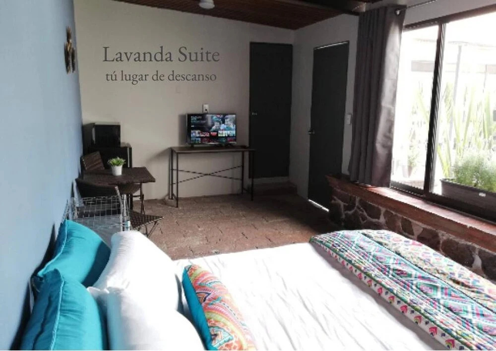 Lavanda Suite Polanco, The Stay That You Deserve