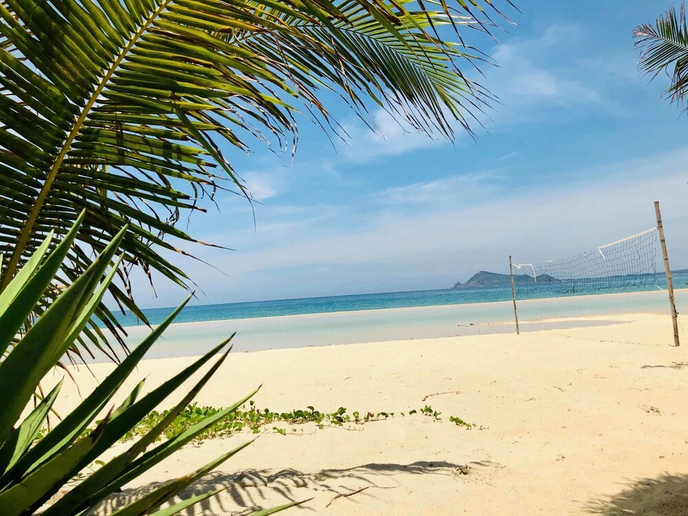 Ocean Beach Bungalows & Hostel