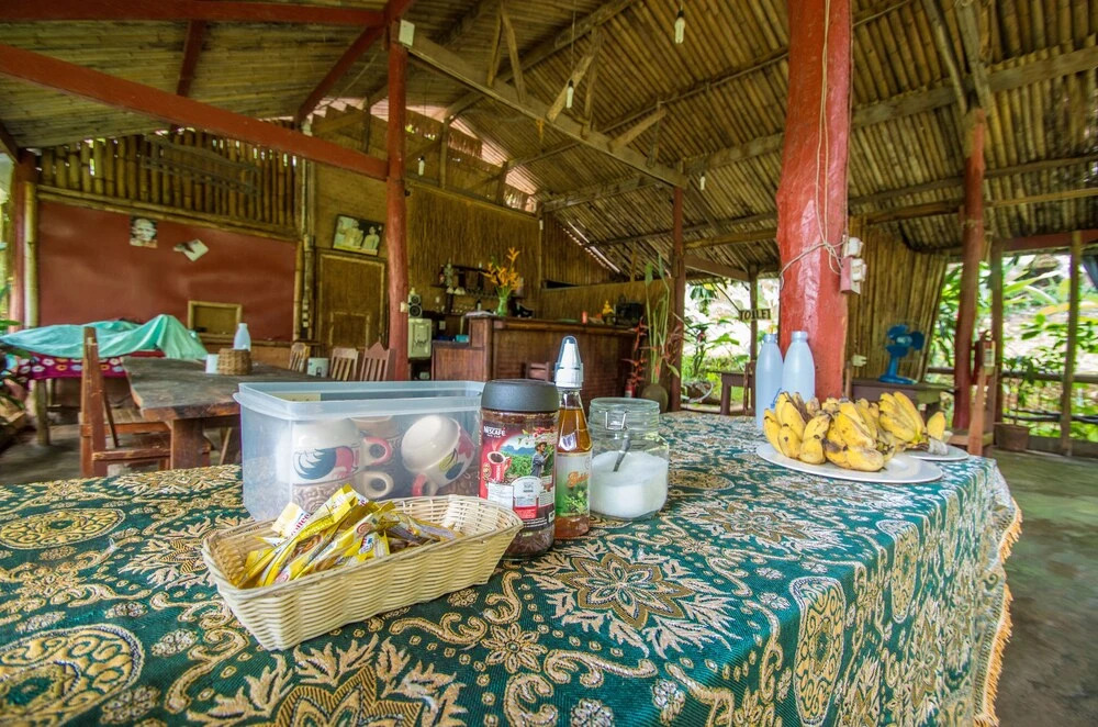 Bamboo Country Lodge
