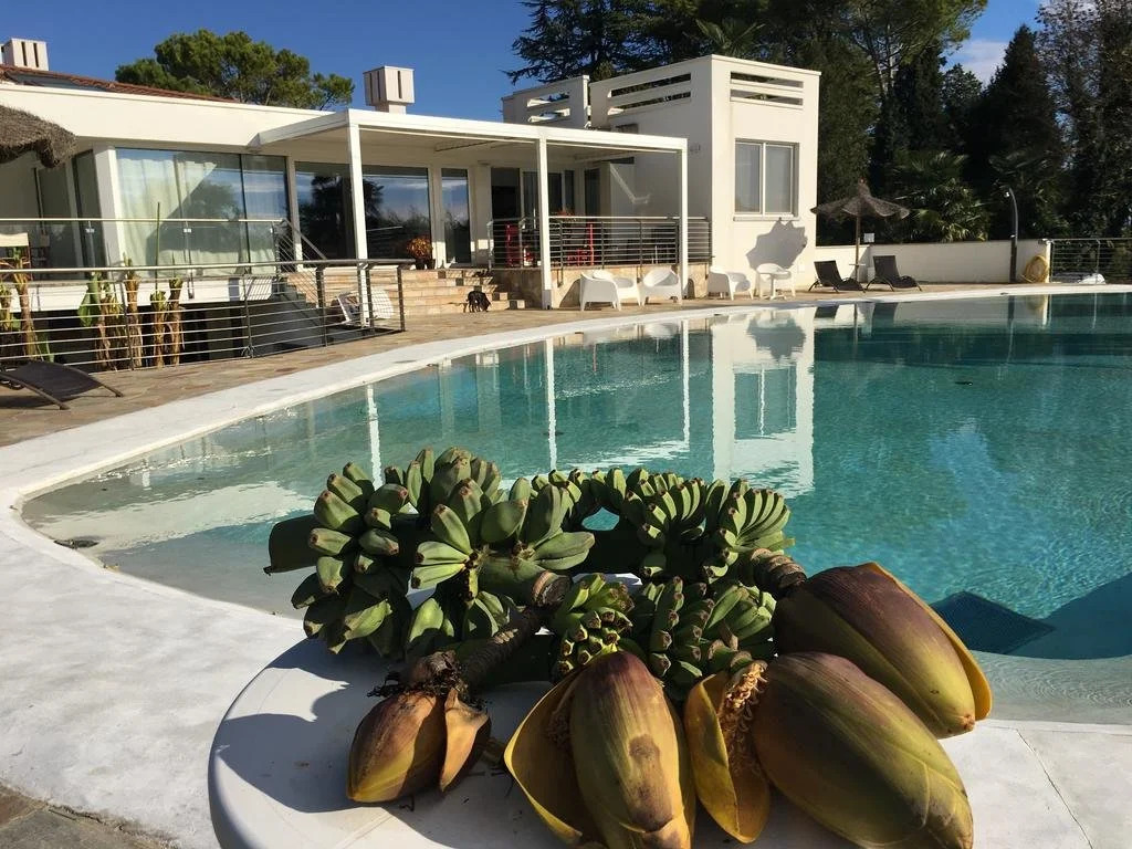 Agriturismo B&B Loggia Degli Artisti - Con Piscina Vicino al Mare - Friuli Venezia Giulia