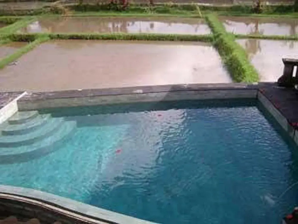 Alas Green Lagoon