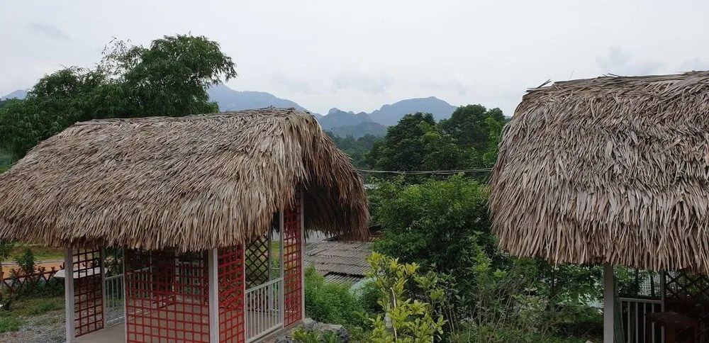 Maison Teahouse Homestay