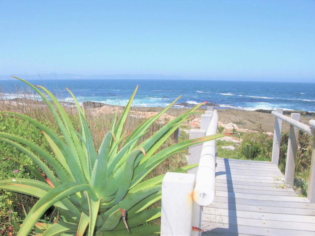 Hermanus Whale View