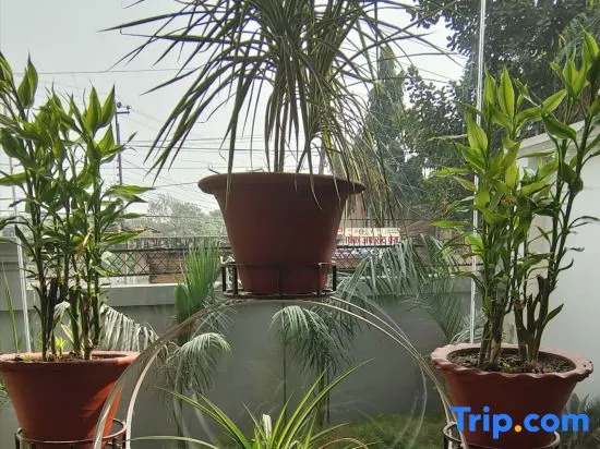 Hotel City Park Pvt. Ltd.