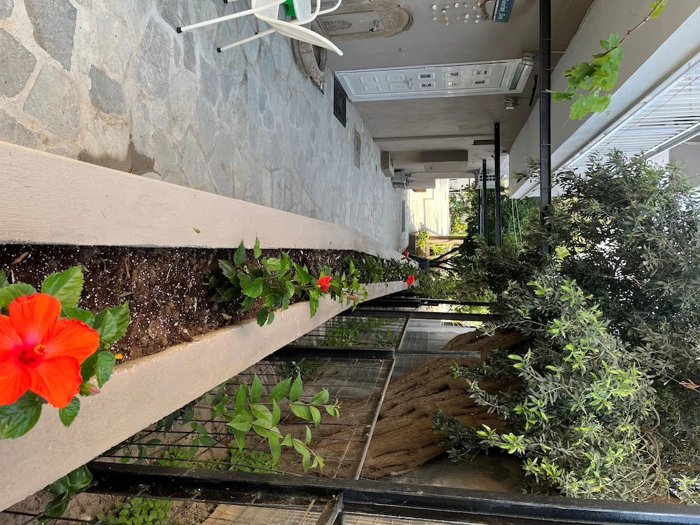 Our Newly Renovated Apartment in Limenaria, Only Five Minutes Away From Center