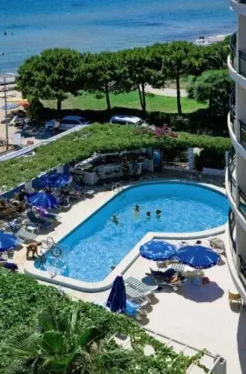 Orion Didim