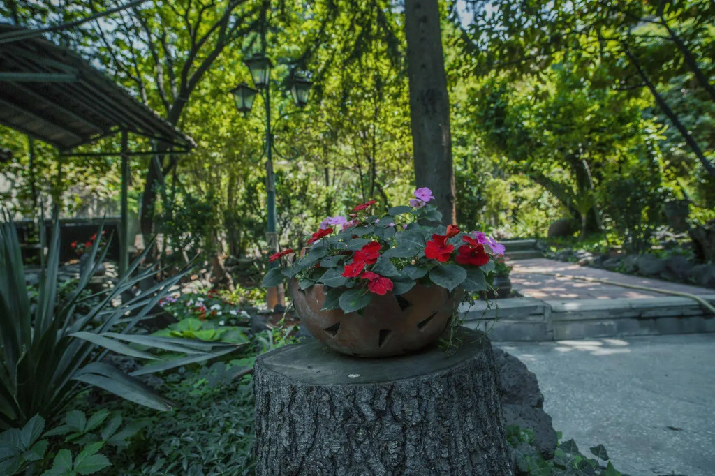 Отель Toscano