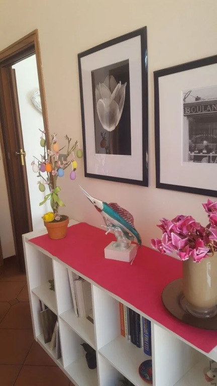 BB Colibri