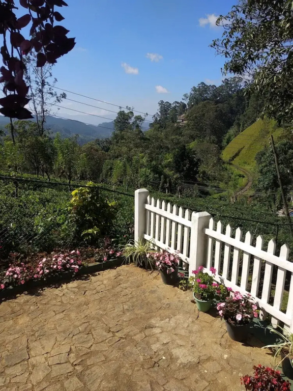 Miselly's Bangalow Hostel