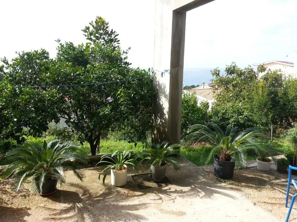 Apartments Olga