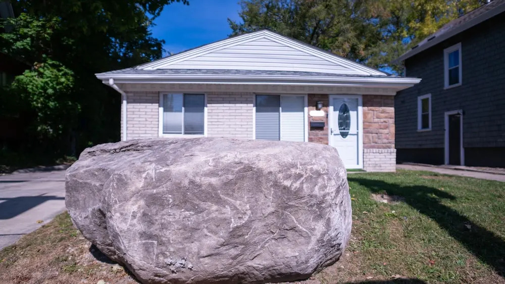 The Rock