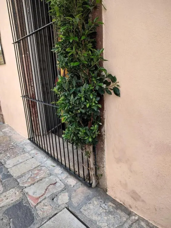 Casa Aldama 83 -Centro