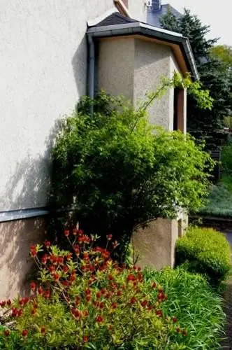 Hotel Zur Muhme