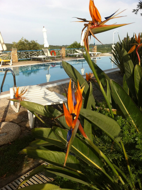 Fundana Villas