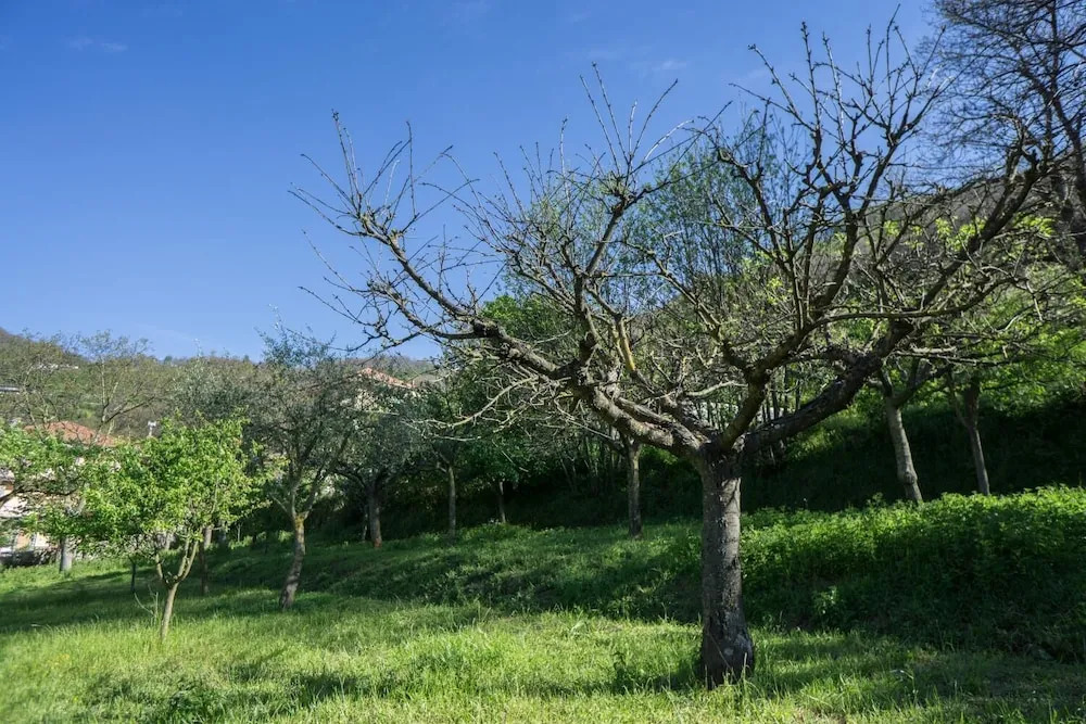Agriturismo Il Tintore