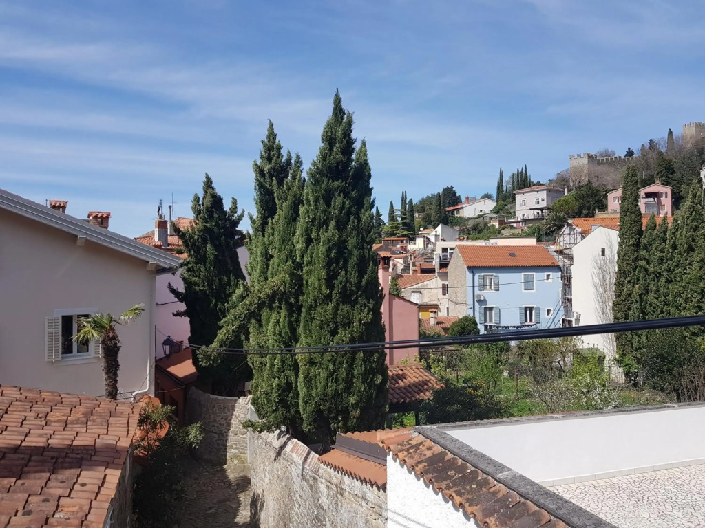 Secret garden of Piran