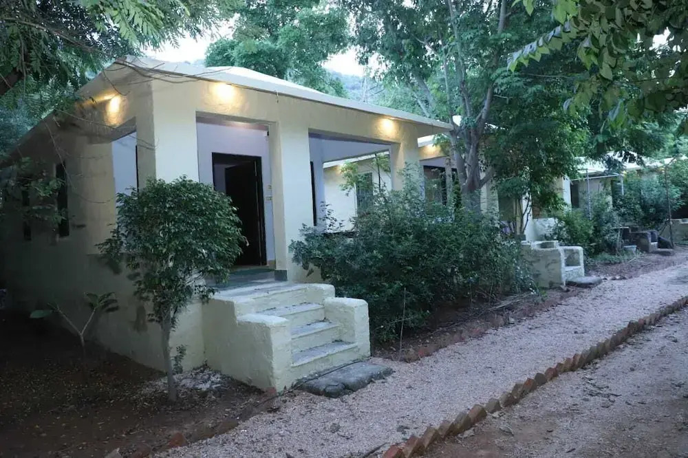 Sariska Forest Trail