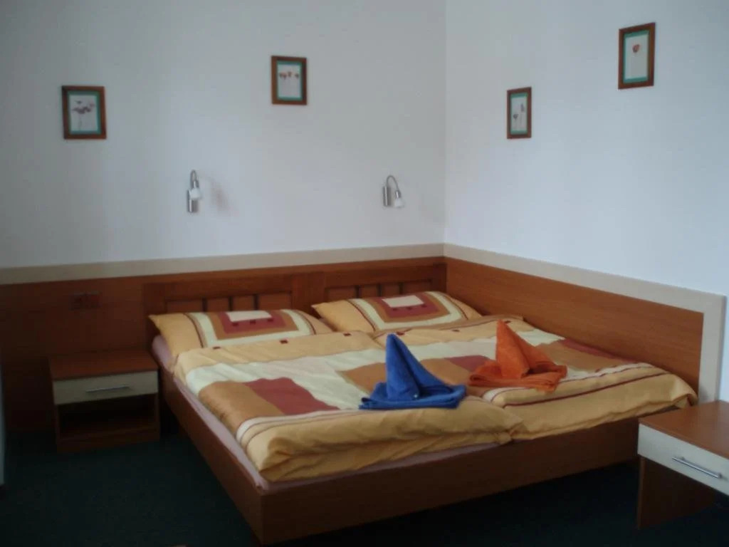 Hotel u Kapra