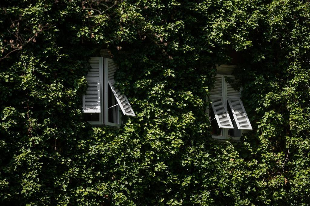 Parkhotel Mondschein, a Member of Design Hotels