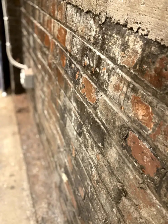 424 Gold Way - Studio Apt. 401