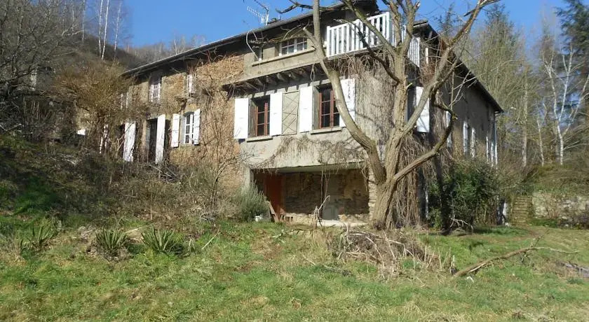 Cèdres Bleus de Joany chez Nathalie