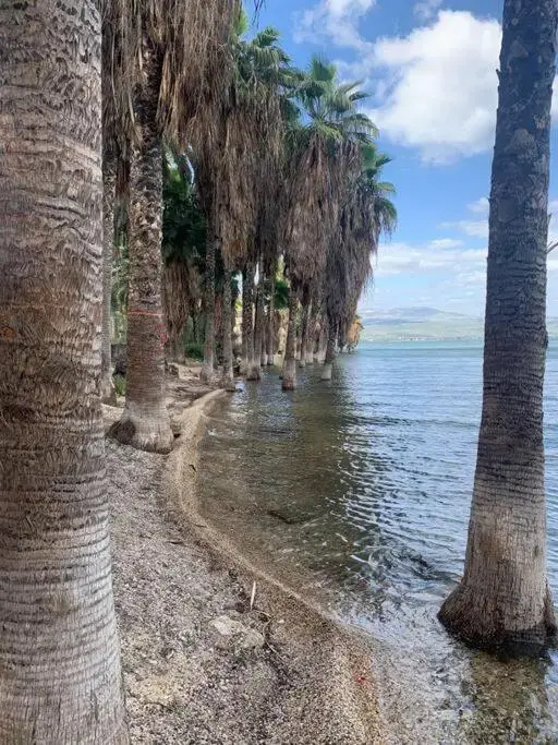 Sea of Galilee Tiberius apartment with panoramic sea view