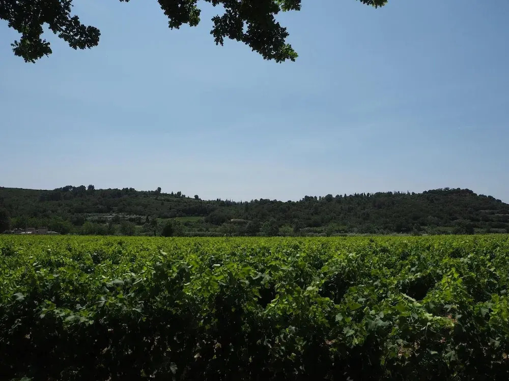 Holiday Home Near Pont du Gard & Vineyards