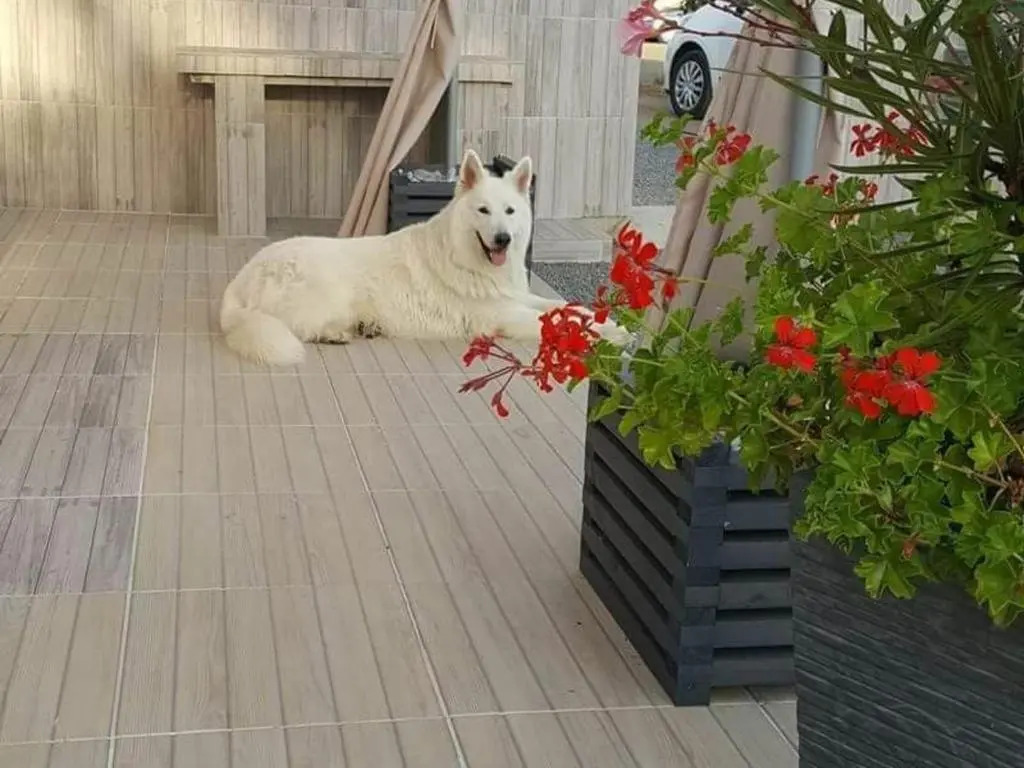 Maison rénovée à la ferme avec jardin privé, WI-FI, pêche, balançoire, trampoline - Brem-sur-Mer - FR-1-426-103