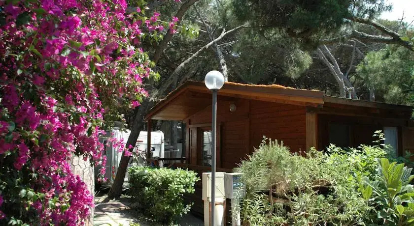 Camping Pionier Etrusco