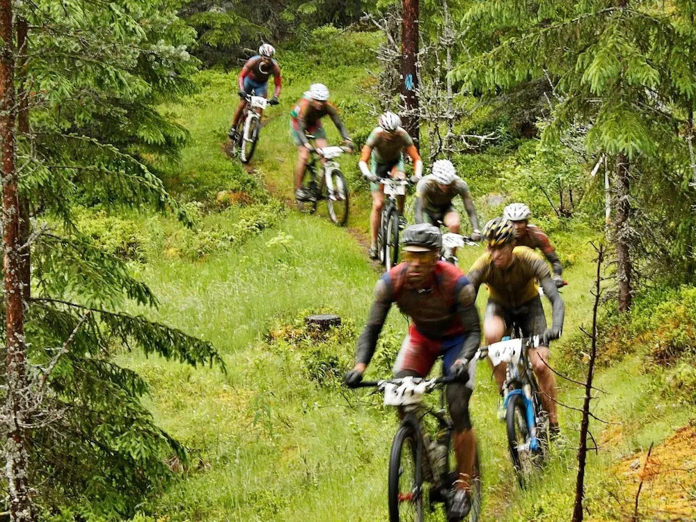 14 Person Holiday Home in Trysil