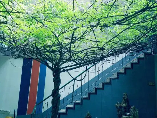 Zhumadian street guest hotel