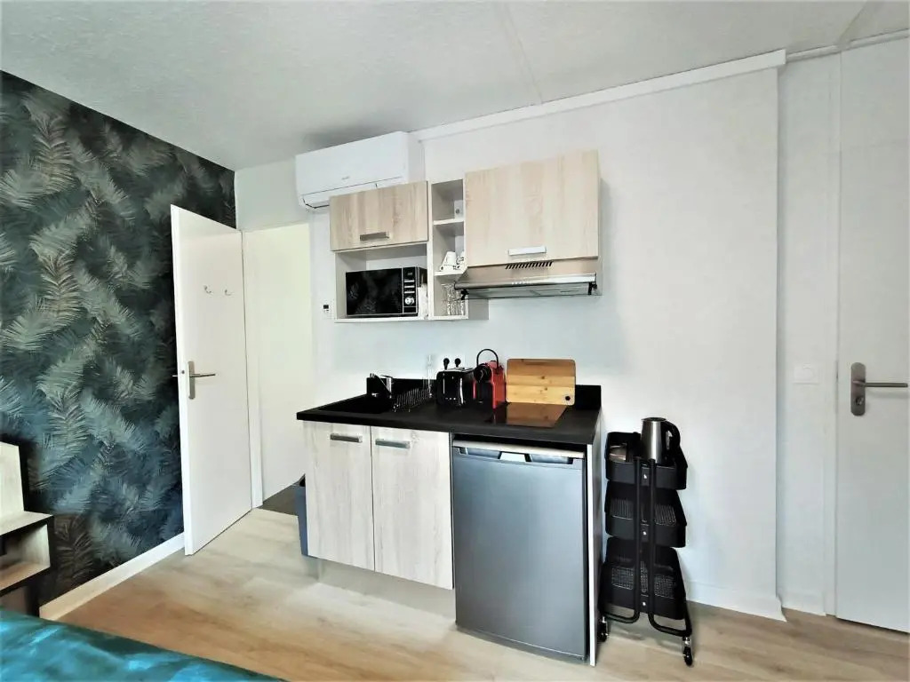 Studio Aix-les-Bains, 1 pièce, 1 personne - FR-1-555-55