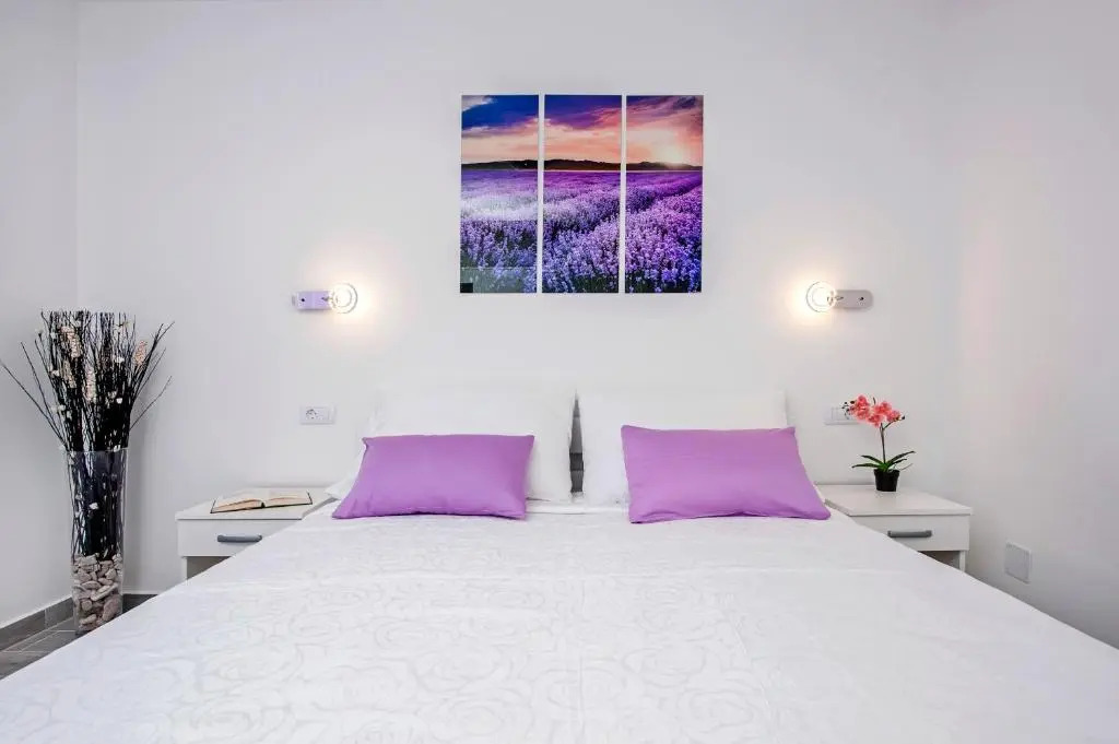 Apartment and Studio Tereza