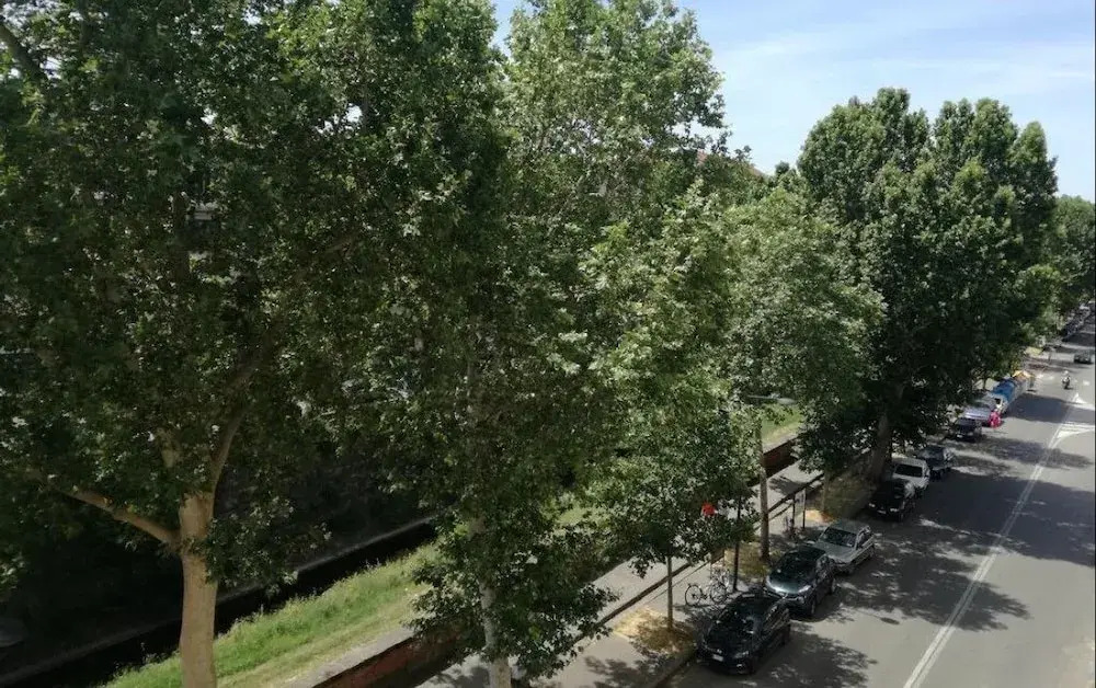 Serrantica Apartment