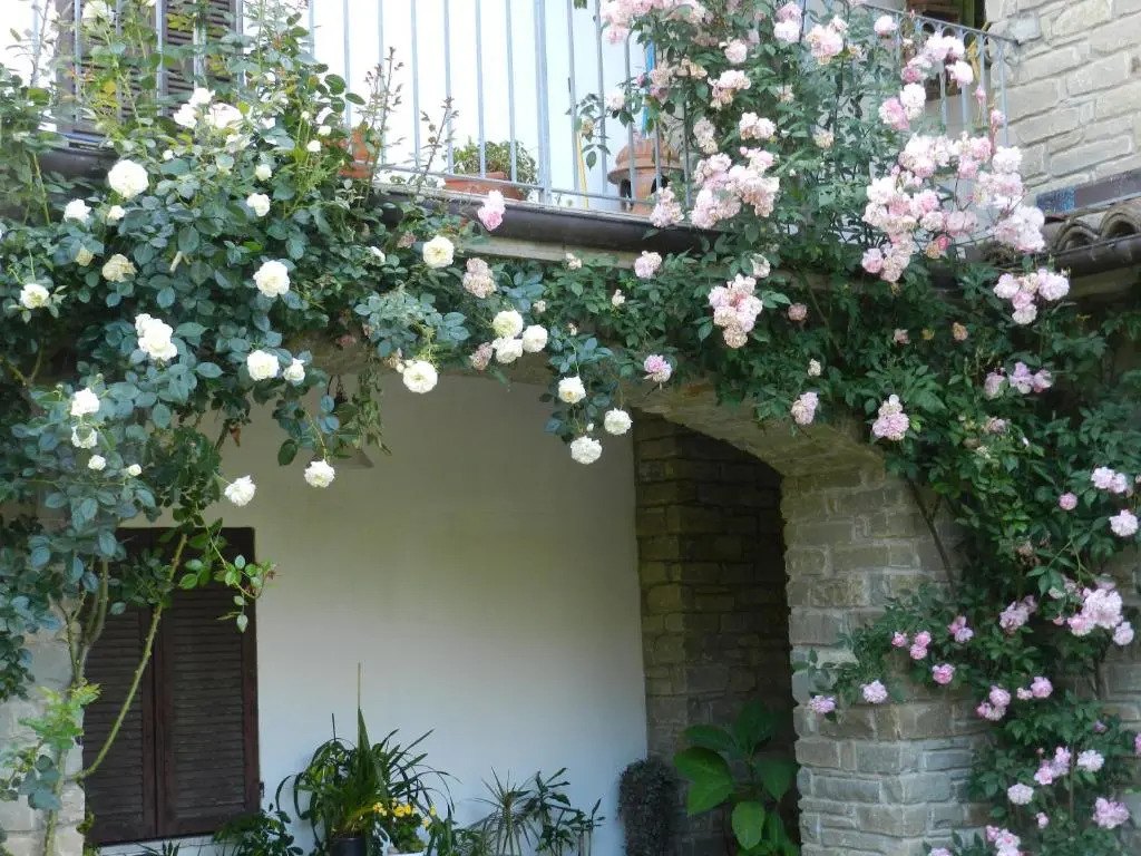 MAMOTA B&B