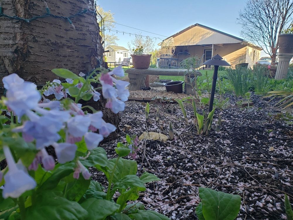 Harvest Moon Bed & Breakfast