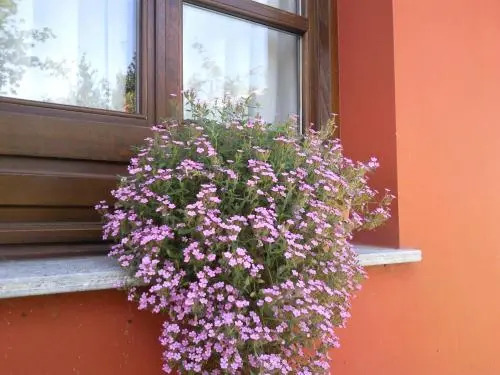 Apartamentos La Güertona