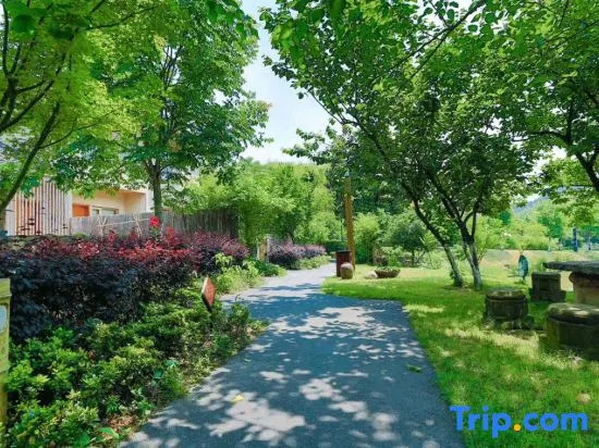 Maple Villas Resorts