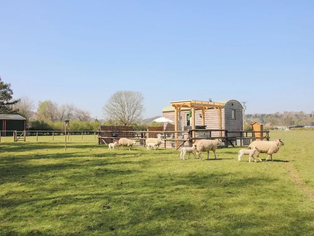 Balwen Shepherds Hut