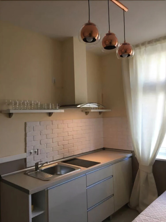 Penguin Apartments City Center Drobnera