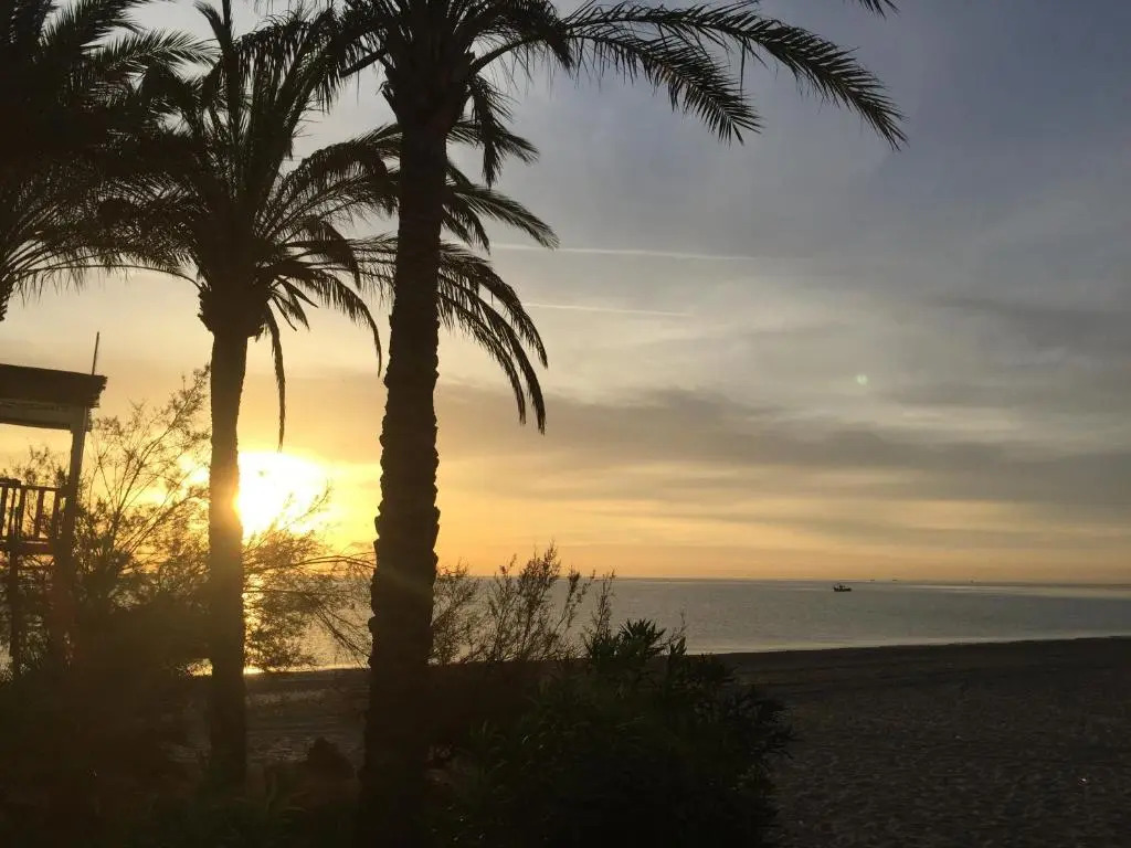2130-Amazing 2 bedrooms with terrace sea view