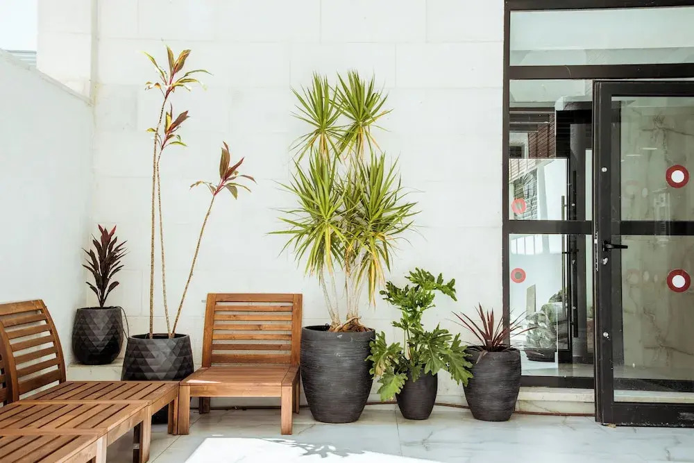 Herzl Boutique Hotel by Domus