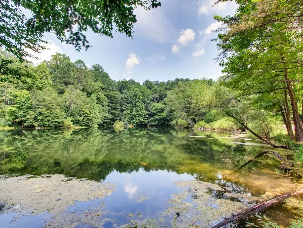 Lake Vista Lodge #248 by Aunt Bug's Cabin Rentals
