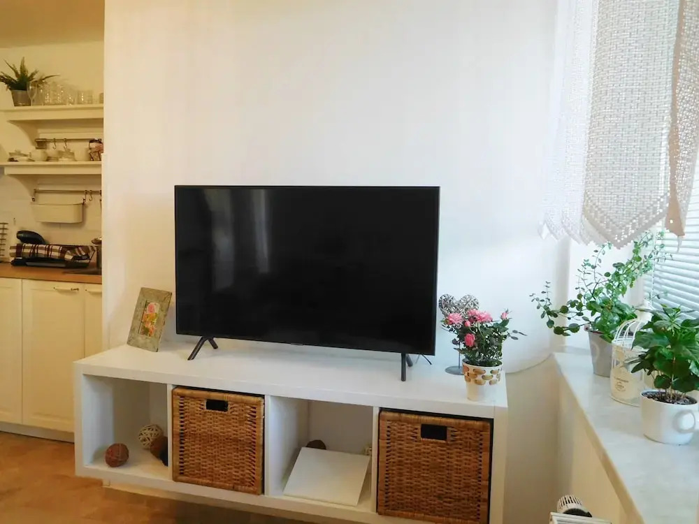 Apartment Boroví