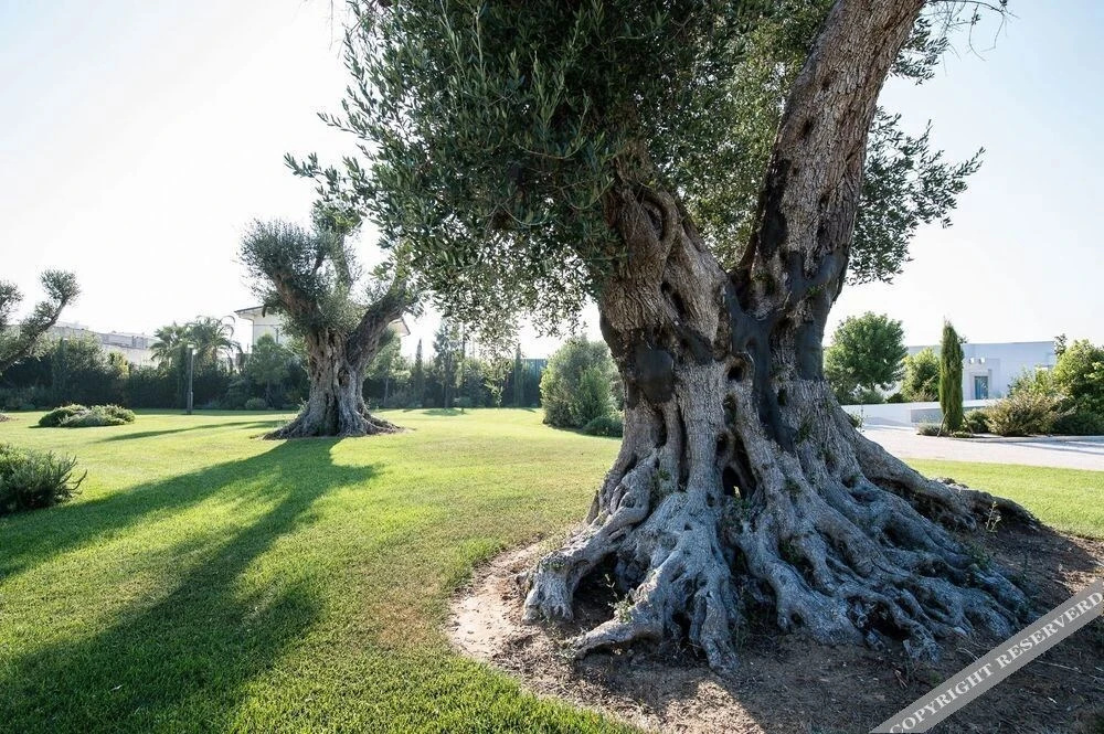 Relais Marchesi Imperiali B&b