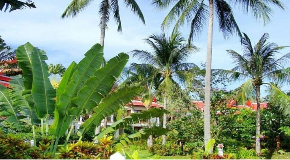 Royal Living Koh Samui - Service Minded Apartment Maximum 6 Guests - Welcome